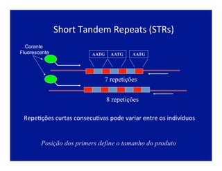 Short	
  Tandem	
  Repeats	
  (STRs)	
  
RepeJções	
  curtas	
  consecuJvas	
  pode	
  variar	
  entre	
  os	
  indivíduos	
  
AATG
7 repetições
8 repetições
AATG AATG
Posição dos primers define o tamanho do produto
Corante
Fluorescente
 