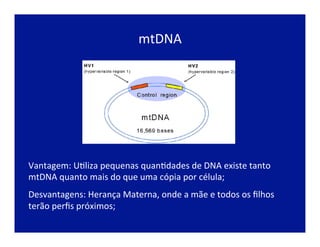mtDNA	
  
Vantagem:	
  UJliza	
  pequenas	
  quanJdades	
  de	
  DNA	
  existe	
  tanto	
  	
  
mtDNA	
  quanto	
  mais	
  do	
  que	
  uma	
  cópia	
  por	
  célula;	
  
Desvantagens:	
  Herança	
  Materna,	
  onde	
  a	
  mãe	
  e	
  todos	
  os	
  ﬁlhos	
  
terão	
  perﬁs	
  próximos;	
  
 