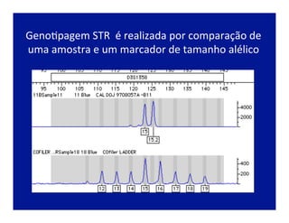 GenoJpagem	
  STR	
  	
  é	
  realizada	
  por	
  comparação	
  de	
  
uma	
  amostra	
  e	
  um	
  marcador	
  de	
  tamanho	
  alélico	
  
 