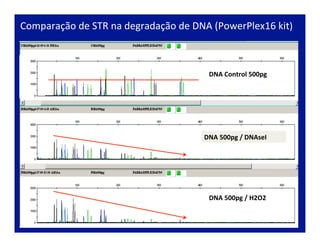 Comparação	
  de	
  STR	
  na	
  degradação	
  de	
  DNA	
  (PowerPlex16	
  kit)	
  
DNA	
  Control	
  500pg	
  
DNA	
  500pg	
  /	
  DNAseI	
  	
  
DNA	
  500pg	
  /	
  H2O2	
  
 