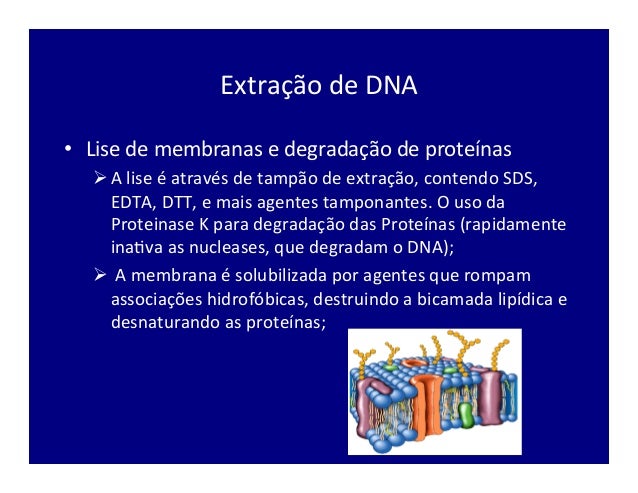 slideshare