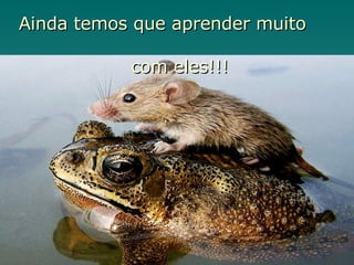 Ainda temos que aprender muito  com eles!!! 