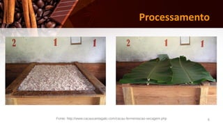 6
Processamento
Fonte: http://www.cacaucantagalo.com/cacau-fermentacao-secagem.php
 