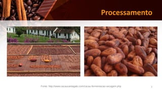 7
Processamento
Fonte: http://www.cacaucantagalo.com/cacau-fermentacao-secagem.php
 