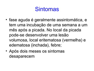 Sintomas fase aguda é geralmente assintomática, e tem uma incubação de uma semana a um mês após a picada. No local da picada pode-se desenvolver uma lesão volumosa, local eritematosa (vermelha) e edematosa (inchada), febre;  Após dois meses os sintomas desaparecem 