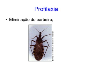 Profilaxia   Eliminação do barbeiro; 