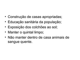 Construção de casas apropriadas; Educação sanitária da população; Exposição dos colchões ao sol; Manter o quintal limpo; Não manter dentro de casa animais de sangue quente. 