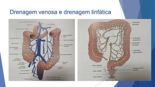 Drenagem venosa e drenagem linfática
11
 