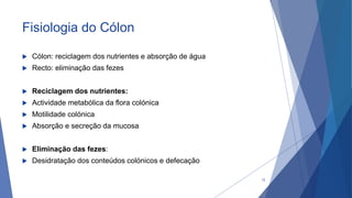 Fisiologia do Cólon
 Cólon: reciclagem dos nutrientes e absorção de água
 Recto: eliminação das fezes
 Reciclagem dos nutrientes:
 Actividade metabólica da flora colónica
 Motilidade colónica
 Absorção e secreção da mucosa
 Eliminação das fezes:
 Desidratação dos conteúdos colónicos e defecação
12
 