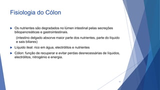 Fisiologia do Cólon
 Os nutrientes são degradados no lúmen intestinal pelas secreções
biliopancreáticas e gastrointestinais.
(intestino delgado absorve maior parte dos nutrientes, parte do líquido
e sais biliares)
 Líquido ileal: rico em água, electrólitos e nutrientes
 Cólon: função de recuperar e evitar perdas desnecessárias de líquidos,
electrólitos, nitrogénio e energia.
13
 