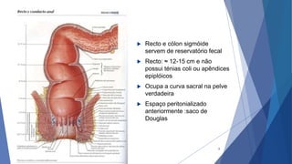  Recto e cólon sigmóide
servem de reservatório fecal
 Recto: ≈ 12-15 cm e não
possui ténias coli ou apêndices
epiplóicos
 Ocupa a curva sacral na pelve
verdadeira
 Espaço peritonializado
anteriormente :saco de
Douglas
9
 