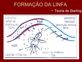 FORMAÇÃO DA LINFA
• Teoria de Starling
 