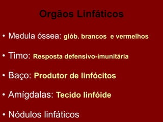 Orgãos Linfáticos
• Medula óssea: glób. brancos e vermelhos
• Timo: Resposta defensivo-imunitária
• Baço: Produtor de linfócitos
• Amígdalas: Tecido linfóide
• Nódulos linfáticos
 