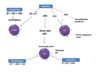 β1 > β2 > alfa
inotrópico
Dopamina
β1 e 2
alfa
Dose alta
alfa
Constrição alfa 1
Dilatação
β2
Adrenalina
Coração
Noradrenalina
DA1
DA2
Vasodilatação
periférica
⁭ Fluxo sanguíneo
renal
β1 > alfa > β2 β1=β2 >alfa
Rim
Vaso
Dobutamina
 