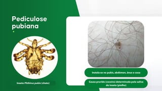Inseto Phthirus pubis (chato)
Instala-se no pubis, abdômen, ânus e coxa
Causa prurido (coceira) determinada pela saliva
do inseto (piolho)
 