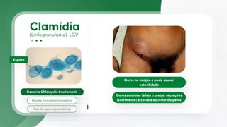 (Linfogranuloma) -LGV
Bactéria Chlamydia trachomatis
Dores na micção e pode causar
esterilidade
Dores ao urinar (afeta a uretra) secreções
(corrimento) e coceira ao redor do pênis
Fase de esporos (resistência)
Parasita intracelular obrigatório
Esporo
 