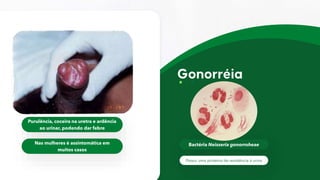 Bactéria Neisseria gonorroheae
Purulência, coceira na uretra e ardência
ao urinar, podendo dar febre
Nas mulheres é assintomática em
muitos casos
Possui uma proteína de resistência à urina
 