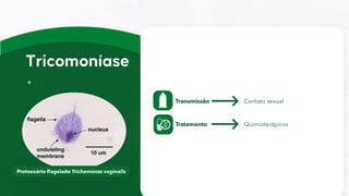 Protozoário flagelado Trichomonas vaginalis
Transmissão Contato sexual
Tratamento Quimioterápicos
 