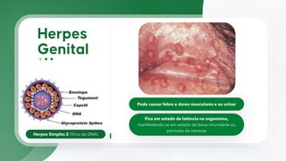 Herpes Simples 2 (Vírus de DNA)
Pode causar febre e dores musculares e ao urinar
Fica em estado de latência no organismo,
manifestando-se em estado de baixa imunidade ou
períodos de estresse
 