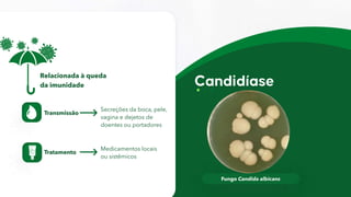 Fungo Candida albicans
Transmissão
Secreções da boca, pele,
vagina e dejetos de
doentes ou portadores
Tratamento
Medicamentos locais
ou sistêmicos
Relacionada à queda
da imunidade
 