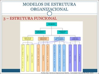 MODELOS DE ESTRUTURA
ORGANIZACIONAL
3 – ESTRUTURA FUNCIONAL

Picchiai, Djair. Estruturas Organizacionais Modelos. Universidade Federal de São Paulo. (2010)

 