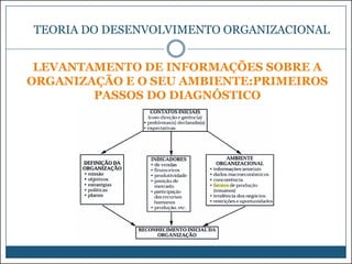 TEORIA DO DESENVOLVIMENTO ORGANIZACIONAL
LEVANTAMENTO DE INFORMAÇÕES SOBRE A
ORGANIZAÇÃO E O SEU AMBIENTE:PRIMEIROS
PASSOS DO DIAGNÓSTICO

 