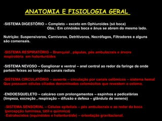 ANATOMIA E FISIOLOGIA GERAL
-SISTEMA DIGESTÓRIO – Completo – exceto em Ophiuroides (só boca)
Obs.: Em crinóides boca e ânus se abrem do mesmo lado.
Nutrição: Suspensívoros, Carnívoros, Detritivoros, Necrófagos, Filtradores e alguns
são comensais.
-SISTEMA NEVOSO – Ganglionar e ventral – anel central ao redor da faringe de onde
partem feixes ao longo dos canais radiais
-SISTEMA RESPIRATÓRIO – Branquial , pápulas, pés ambulacrais e árvore
respiratória em holonturóides
-SISTEMA SENSORIAL – Células epiteliais – pés ambulacrais e ao redor da boca
(percepção luminosa, tátil e químnica)
-Estratocistos (equinóides e holonturóide) – orientação gravitacional.
-ENDOESQUELETO – calcáreo com prolongamentos – espinhos e pedicelárias
(limpeza, excreção , respiração – difusão e defesa – glândula de veneno)
-SISTEMA CIRCULATÓRIO – ausente – circulação por canais celômicos – sistema hemal
Que possuem células ciliadas denominadas celomócitos que revestem o celoma.
 