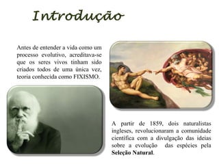 Introdução
Antes de entender a vida como um
processo evolutivo, acreditava-se
que os seres vivos tinham sido
criados todos de uma única vez,
teoria conhecida como FIXISMO.

A partir de 1859, dois naturalistas
ingleses, revolucionaram a comunidade
científica com a divulgação das ideias
sobre a evolução das espécies pela
Seleção Natural.

 