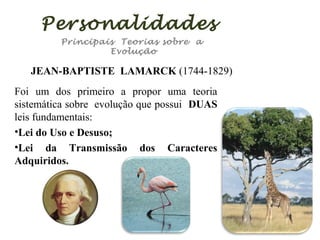 Personalidades
Principais Teorias sobre a
Evolução

JEAN-BAPTISTE LAMARCK (1744-1829)
Foi um dos primeiro a propor uma teoria
sistemática sobre evolução que possui DUAS
leis fundamentais:
•Lei do Uso e Desuso;
•Lei da Transmissão dos Caracteres
Adquiridos.

 