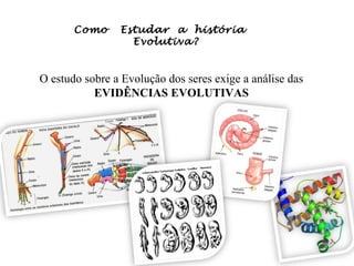 Como

Estudar a história
Evolutiva?

O estudo sobre a Evolução dos seres exige a análise das
EVIDÊNCIAS EVOLUTIVAS

 