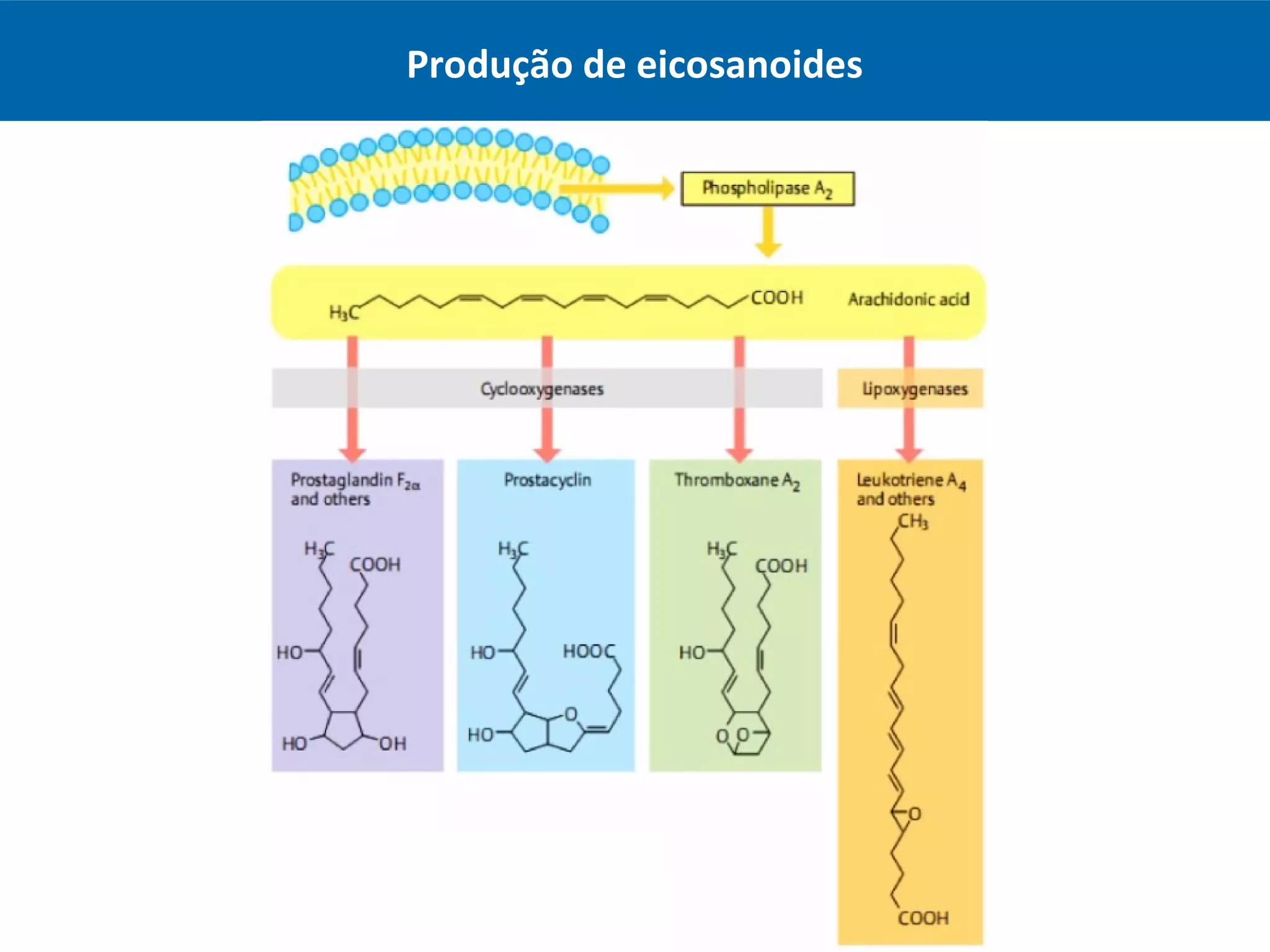 Aula - Anti-inflamatórios não esteróidais | PPT