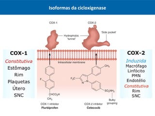 Isoformas da cicloxigenase
 