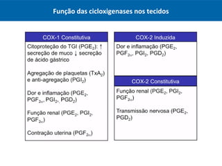 Função das cicloxigenases nos tecidos
 