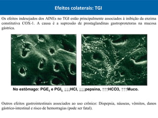 Efeitos colaterais: TGI
Os efeitos indesejados dos AINEs no TGI estão principalmente associados à inibição da enzima
constitutiva COX-1. A causa é a supressão de prostaglandinas gastroprotetoras na mucosa
gástrica.
Outros efeitos gastrointestinais associados ao uso crônico: Dispepsia, náuseas, vômitos, danos
gástrico-intestinal e risco de hemorragias (pode ser fatal).
No estômago: PGE2 e PGI2, ↓↓↓HCl, ↓↓↓pepsina, ↑↑↑HCO3, ↑↑↑Muco.
 