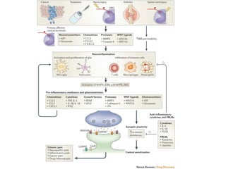 Aula - Anti-inflamatórios não esteróidais