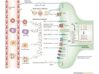 Aula - Anti-inflamatórios não esteróidais
