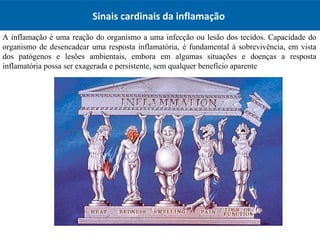 Sinais cardinais da inflamação
A inflamação é uma reação do organismo a uma infecção ou lesão dos tecidos. Capacidade do
organismo de desencadear uma resposta inflamatória, é fundamental à sobrevivência, em vista
dos patógenos e lesões ambientais, embora em algumas situações e doenças a resposta
inflamatória possa ser exagerada e persistente, sem qualquer benefício aparente
 