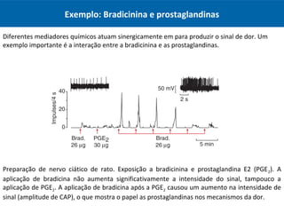 Exemplo: Bradicinina e prostaglandinas
Diferentes mediadores químicos atuam sinergicamente em para produzir o sinal de dor. Um
exemplo importante é a interação entre a bradicinina e as prostaglandinas.
Preparação de nervo ciático de rato. Exposição a bradicinina e prostaglandina E2 (PGE2). A
aplicação de bradicina não aumenta significativamente a intensidade do sinal, tampouco a
aplicação de PGE2. A aplicação de bradicina após a PGE2 causou um aumento na intensidade de
sinal (amplitude de CAP), o que mostra o papel as prostaglandinas nos mecanismos da dor.
 