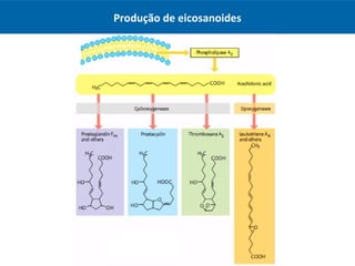 Produção de eicosanoides
 