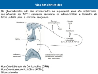 Os glicocorticoides não são armazenados na suprarrenal, mas são sintetizados
sob influência do ACTH circulante secretado na adeno-hipófise e liberados de
forma pulsátil para a corrente sanguínea.
Vias dos corticoides
Hormônio Liberador de Corticotrofina (CRH);
Hormônio Adrenocorticotrófico (ACTH);
Glicocorticoides
 