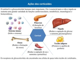 Ações dos corticoides
Pâncreas
(Liberação de
Insulina)
Músculo
(Reduz a captação de aa e
aumenta a proteólise)
Fígado
(Reduz a captação de glicose
e aumenta gliconeogênese)
Ossos
(Reduz a formação
de ossos)
Tecido adiposo
(Promove a quebra de
gordura)
O cortisol é o glicocorticóide humano mais importante. Ele é essencial para a vida e regula ou
sustenta uma grande variedade de funções cardiovasculares, metabólicas, imunológicas e
homeostáticas.
Cortisol
Os receptores de glicocorticóides são encontrados nas células de quase todos tecidos de vertebrados.
Sistema imune
(Inibe o sistema)
 