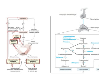 Aula - Anti-inflamatórios esteróidais