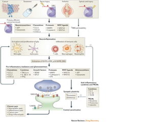 Aula - Anti-inflamatórios esteróidais