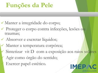 Funções da Pele
✓ Manter a integridade do corpo;
✓ Proteger o corpo contra infecções, lesões ou
traumas;
✓ Absorver e excretar líquidos;
✓ Manter a temperatura corpórea;
✓ Sintetizar vit D com a exposição aos raios solares
✓ Agir como órgão do sentido;
✓ Exercer papel estético.
 