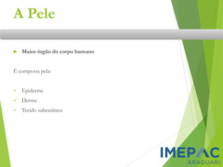 A Pele
 Maior órgão do corpo humano
É composta pela:
✓ Epiderme
✓ Derme
✓ Tecido subcutâneo
 