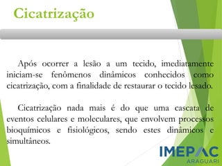 Cicatrização
Após ocorrer a lesão a um tecido, imediatamente
iniciam-se fenômenos dinâmicos conhecidos como
cicatrização, com a finalidade de restaurar o tecido lesado.
Cicatrização nada mais é do que uma cascata de
eventos celulares e moleculares, que envolvem processos
bioquímicos e fisiológicos, sendo estes dinâmicos e
simultâneos.
 