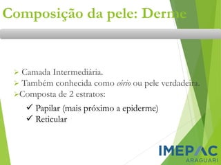 Composição da pele: Derme
➢ Camada Intermediária.
➢ Também conhecida como cório ou pele verdadeira.
➢Composta de 2 estratos:
✓ Papilar (mais próximo a epiderme)
✓ Reticular
 