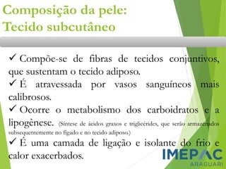 Composição da pele:
Tecido subcutâneo
✓ Compõe-se de fibras de tecidos conjuntivos,
que sustentam o tecido adiposo.
✓ É atravessada por vasos sanguíneos mais
calibrosos.
✓ Ocorre o metabolismo dos carboidratos e a
lipogênese. (Síntese de ácidos graxos e triglicérides, que serão armazenados
subsequentemente no fígado e no tecido adiposo.)
✓ É uma camada de ligação e isolante do frio e
calor exacerbados.
 