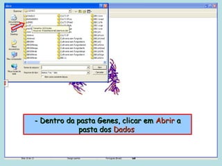 - Dentro da pasta Genes, clicar em Abrir a
             pasta dos Dados
 