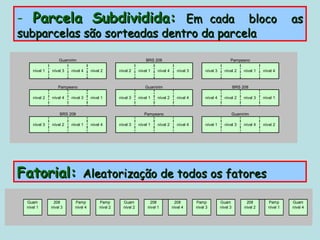 - Parcela Subdividida: Em cada bloco as
subparcelas são sorteadas dentro da parcela

                  Guamirim                                         BRS 208                                            Pampeano

    nível 1   nível 3   nível 4     nível 2        nível 2     nível 1    nível 4      nível 3        nível 3     nível 2      nível 1   nível 4



                  Pampeano                                        Guamirim                                                BRS 208

    nível 2   nível 4   nível 3     nível 1        nível 3     nível 1    nível 2      nível 4        nível 4     nível 2      nível 3   nível 1



                   BRS 208                                        Pampeano                                                Guamirim

    nível 3   nível 2   nível 1     nível 4        nível 3     nível 1    nível 2      nível 4        nível 1     nível 3      nível 4   nível 2




Fatorial: Aleatorização de todos os fatores
 Guam          208        Pamp           Pamp        Guam            208             208         Pamp           Guam            208         Pamp      Guam
 nível 1      nível 3     nível 4        nível 2     nível 2        nível 1         nível 4      nível 3        nível 3        nível 2      nível 1   nível 4
 